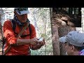 Come e dove raccogliere funghi porcini nei boschi in montagna, pescare trote e temoli torrente fiumi