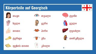 Körperteile auf Georgisch