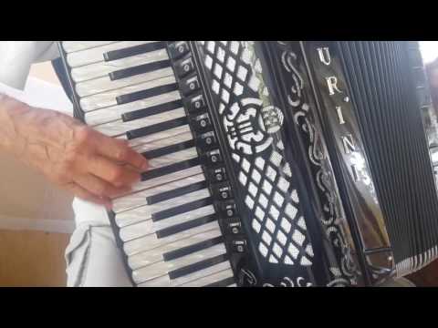 Accordion Burini Model 46 Special 120 Bass Cassotto Fisarmonica Akkordeon Italy(3)