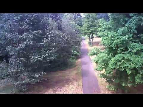 Dronata parco Boschetto Nichelino Italia. Drone