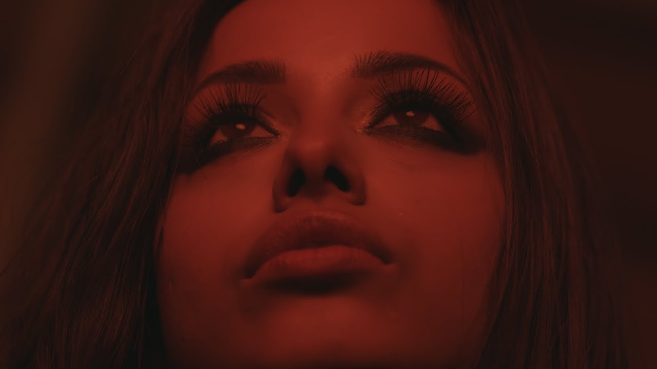 Lariss ft. Carlito — Animal