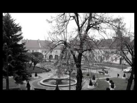 Peiskretscham, Ring - Tosterstrasse 1931 - Pyskowice, Rynek - ulica Armii Krajowej 2011-12-11