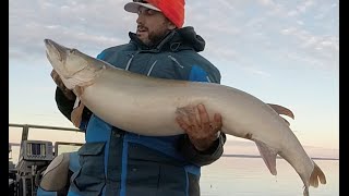 Musky Fishing Canada - Slobland Flicks- JACQUES COUSTEAU