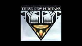 These new Puritans infinity ytinifni