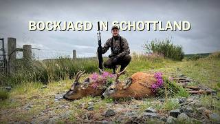 Bockjagd in Schottland´s Weiten - Jagdkrone