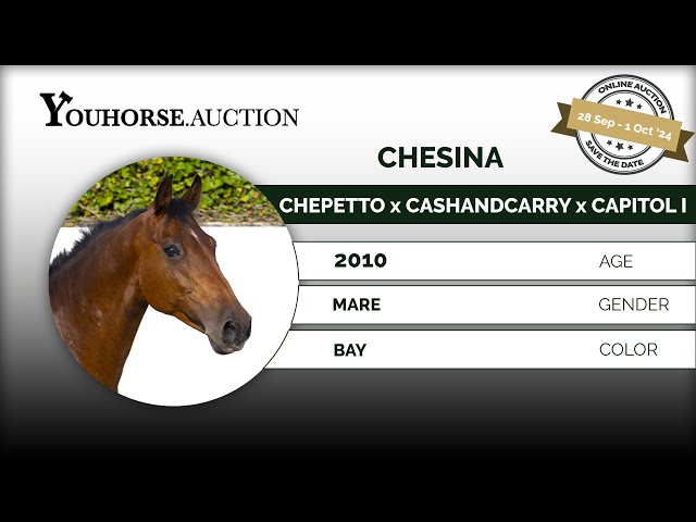 Chesina