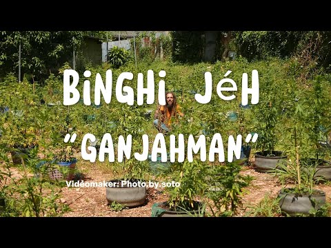 Binghi Jéh "GANJAHMAN" (Official video)