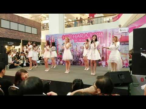 DPG48 Seacon Bangkae Idol @ Cover Dance Matsuri 2019 [25-08-19] 1/2