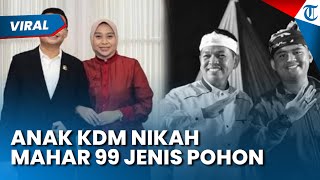 Mahar Unik Anak Dedi Mulyadi Nikahi Wakil Bupati Garut, 9 Jenis Benih Padi dan 99 Jenis Pohon