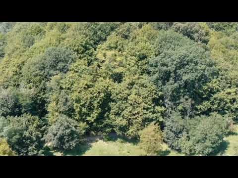 Pensiunea Casa Cartianu - Cazare Targu Jiu -  August 2020