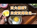 『啟德雞場vlog.29』 驚 買大顆蛋 其實買到的是... 親子生態體驗 上 啟德小學堂