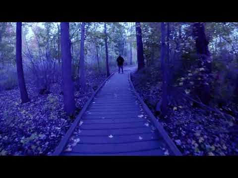 Fluent Dunks - Jesus Saved Me a Candy Bar (Official Music Video)