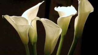 Don&#39;t Forget Baby