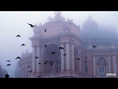 lildrughill-you know