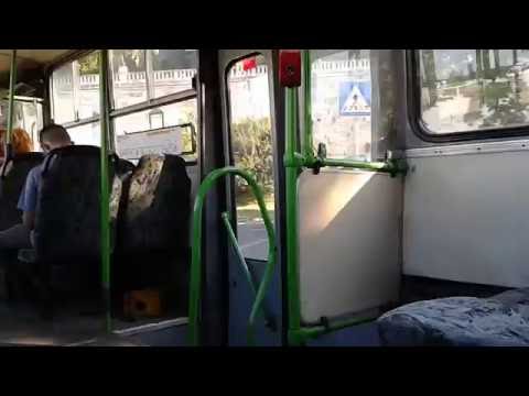 Budapest Bus - Ikarus 280.49 | BPO-446 | @17V