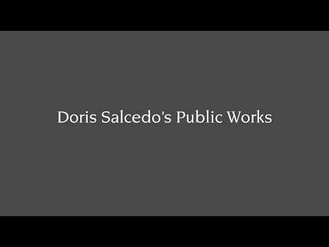 Doris Salcedo's Public Works