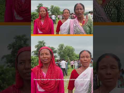 अल्पसंख्यक सोनाहा समुदायले आफ्नो प्रमुख चाडका रूपमा मनाउँदै आएको गुरीया पर्व । Guriya Parba Sonaha