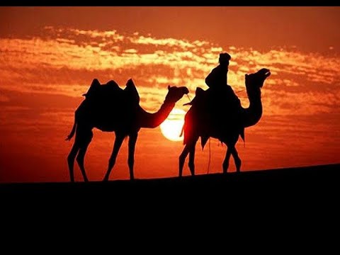 GRUP HANEDAN DERGAHA GELDİM