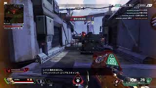 [apex]くまさんと！！