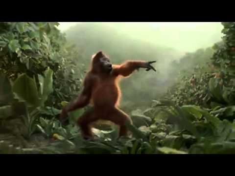 26 de outubro de 2014 23h10