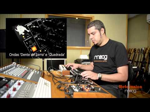 Moog Minitaur com André Vasconcellos
