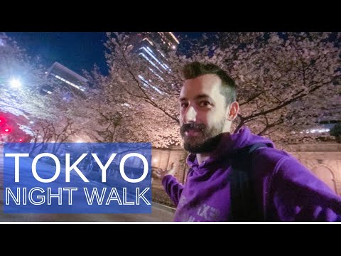 Tokyo Backstreet Night Walk | Sakura in Japan