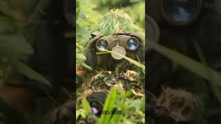 Download lagu Hantu Rimba🔥 #tiktok mp3 Download lagu Hantu Rimba🔥 #tiktok mp3