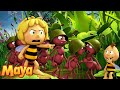 Maya Takes Over The Ants Maya The Bee Full Episode Season 2 Episode 2 Cartoons For Kids