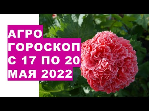 , title : 'Агрогороскоп с 17 по 20 мая 2022 года'