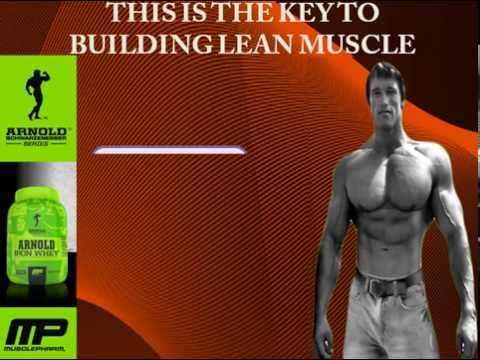 Arnold Schwarzenegger Iron Whey Protein
