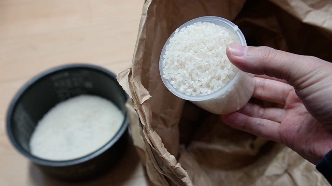 お米を食べる虫