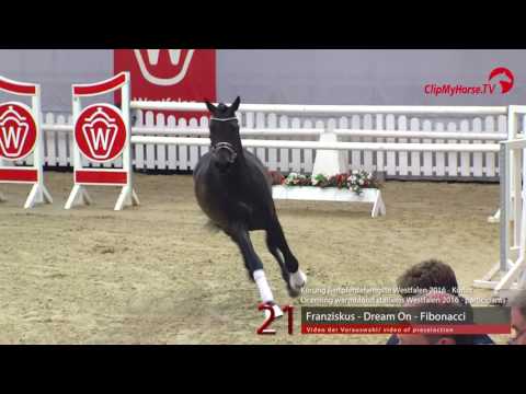 21  Franziskus - Dream On - Fibonacci