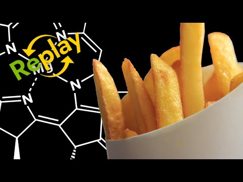 The Science of Cravings