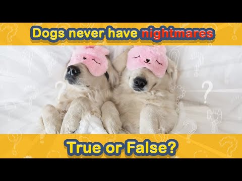 True OR False Quiz! Get Smart And Fun! No. 35