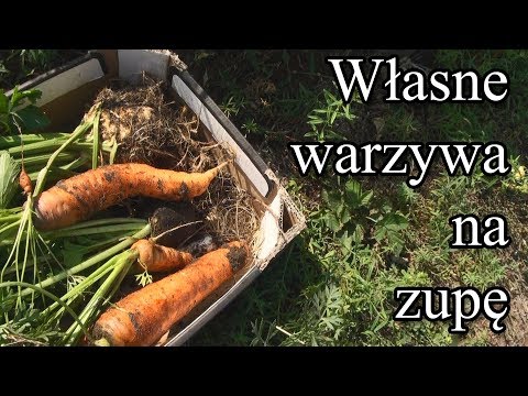 Ogrodowe pierdamony 30 - własne warzywa na zupę