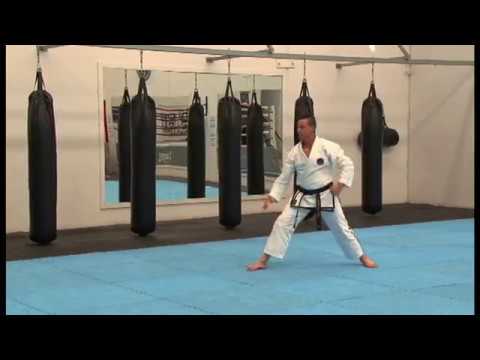 Grade 10 - White Belt Pattern - Saju Makgi (L)