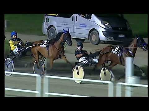 Napoli Trotto 20/08/2022 - 5ª corsa