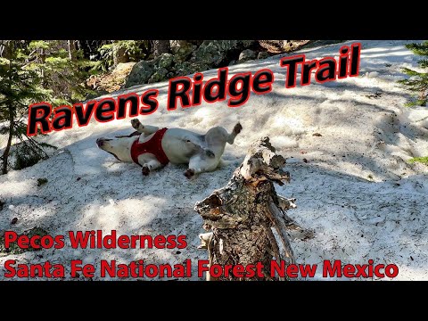 Hike: Ravens Ridge Trail Pecos Wilderness Santa Fe National Forest New Mexico May 12, 2026