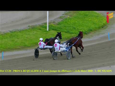 II Prova di qualifica del 27 Dicembre 2021 - 2 Anni - Metri 2000