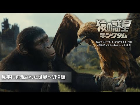 見事に再現された世界～VFX編（字幕版）