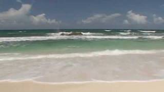 DAVID GRAY .....  ALIBI.... with lyrics below video.