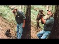 The Park Ranger Took A Baby Bigfoot Home At Midnight His Family Regretted It Sasquatch Story