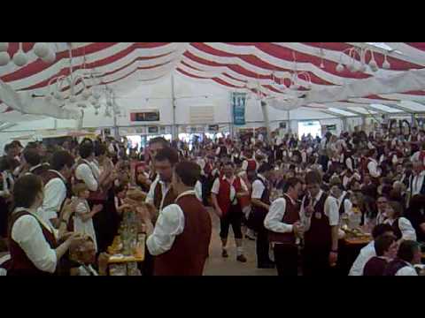 Laubener Schnellpolka beim Kreismusikfest 2010 in Ersingen