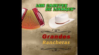 Flor de Mis Primeros Años - Los Cadetes de Linares