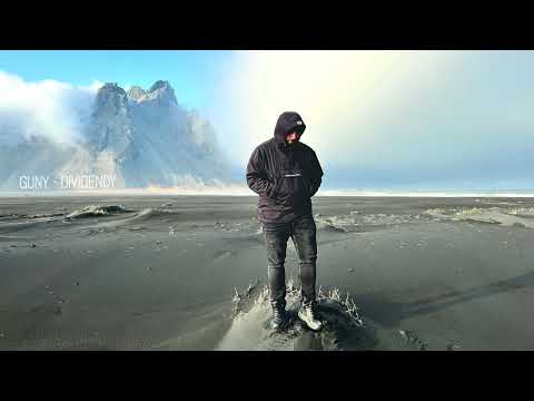 guNy - Dividendy (prod. by Majestic Bxndz)