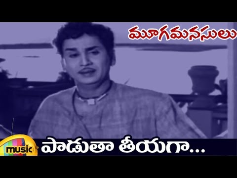 Mooga Manasulu Telugu Movie Video Songs | ANR Hits | Paadutha Teeyaga Full Video Song | Savitri