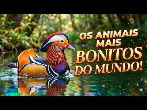 Natureza Espetacular: Uma Jornada Pelos Animais Mais Bonitos do Mundo