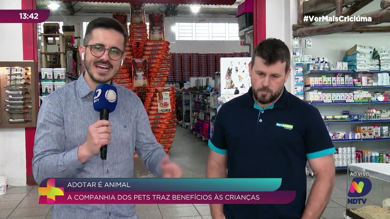 Animais de estimação: boas memórias e cuidados para o desenvolvimento infantil