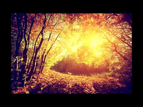 Liquid Drum and Bass Mix 2025 #22