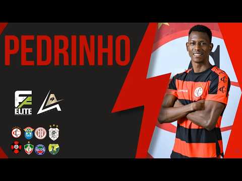 HIGHLIGHTS PEDRINHO